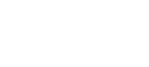 Technion Israel Institute of Technology